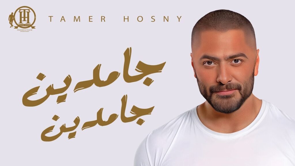 تامر حسنى